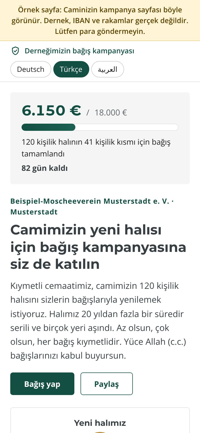 Sample carpet sponsorship page in Turkish on a phone